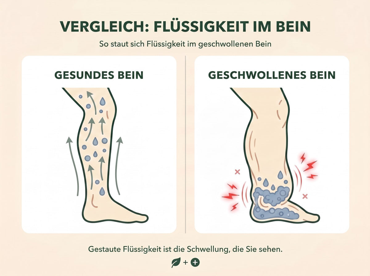 los beinepdp fluessigkeit