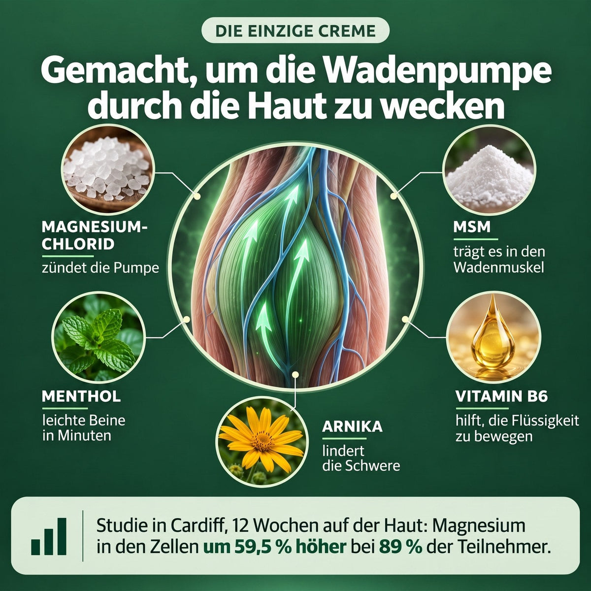 Die einzige Creme, die die Wadenpumpe durch die Haut aufweckt – die fünf Wirkstoffe