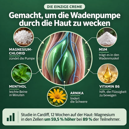 Die einzige Creme, die die Wadenpumpe durch die Haut aufweckt – die fünf Wirkstoffe