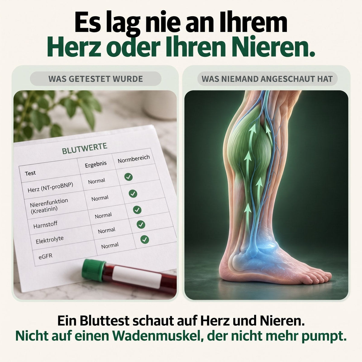 Es lag nie an Herz oder Nieren – der Bluttest schaut nicht auf den Wadenmuskel