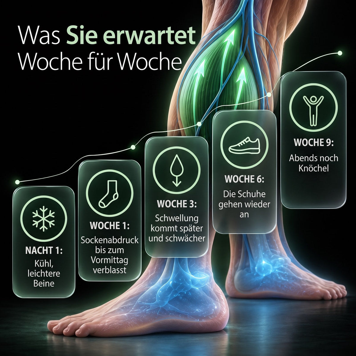 Was Sie Woche für Woche erwarten können