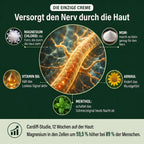 Die einzige Creme, die den Nerv durch die Haut versorgt – die fünf Wirkstoffe