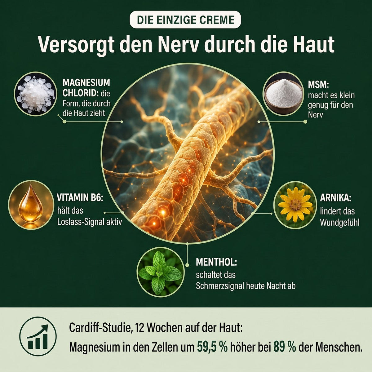 Die einzige Creme, die den Nerv durch die Haut versorgt – die fünf Wirkstoffe