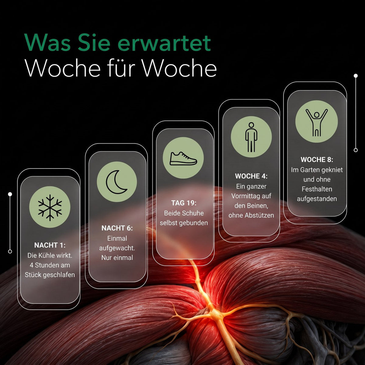 Was Sie Woche für Woche erwarten können
