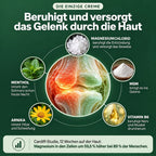 Die einzige Creme, die das Gelenk durch die Haut beruhigt und versorgt – die fünf Wirkstoffe