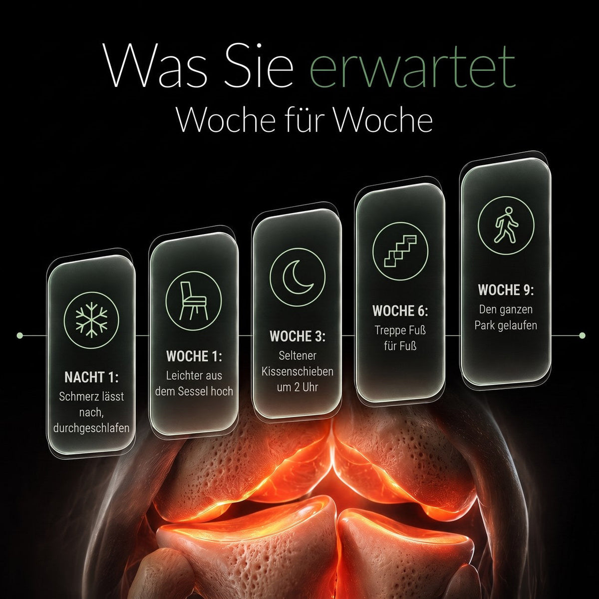 Was Sie Woche für Woche erwarten können