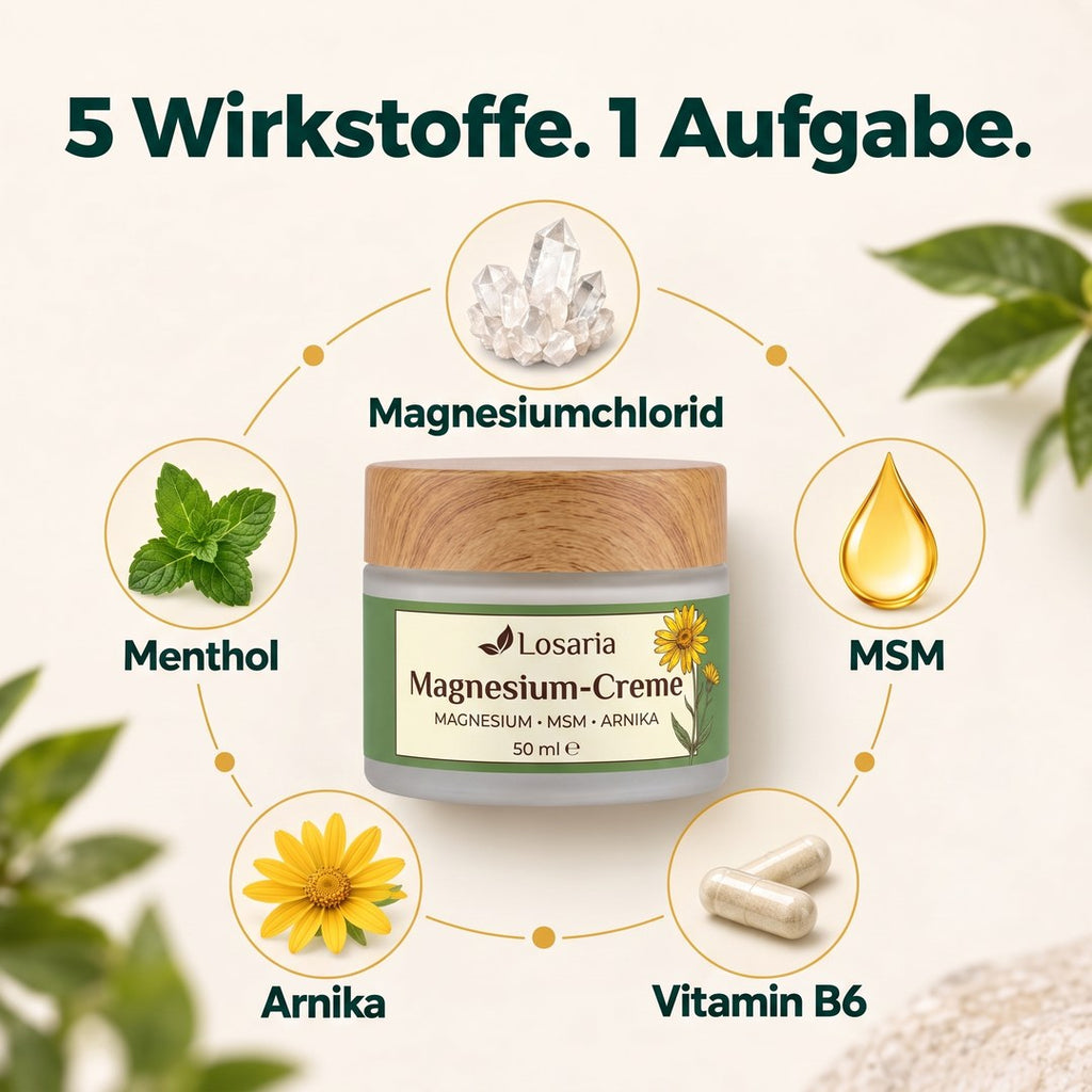 5 Wirkstoffe, 1 Aufgabe: Magnesiumchlorid, MSM, Vitamin B6, Arnika, Menthol