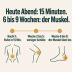 Heute Abend: 15 Minuten. 6 bis 9 Wochen: der Muskel